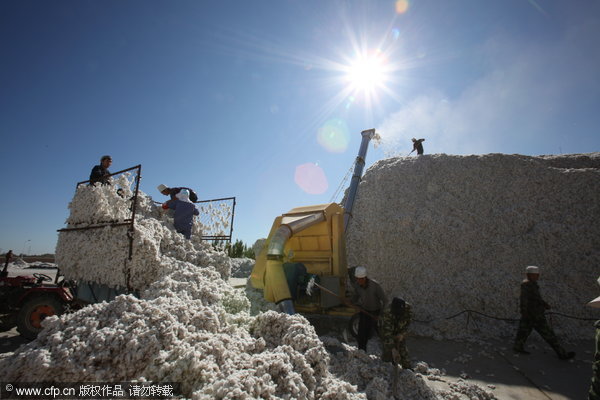 Xinjiang sees bumper cotton harvests