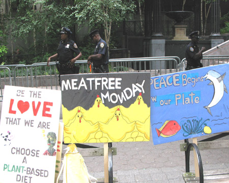 Protestors gather during UN session for environment issues