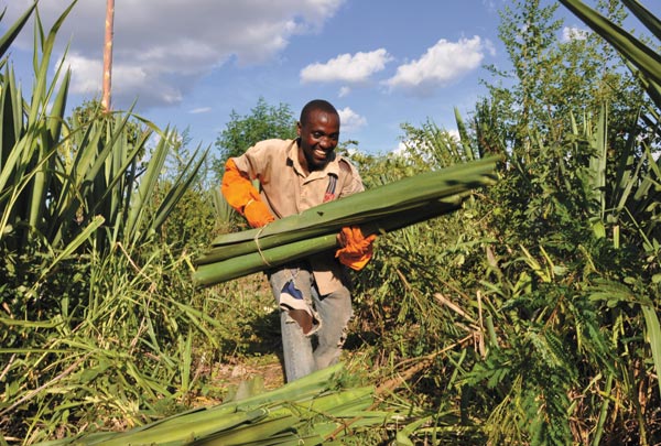 Sowing the seeds of success in Tanzania