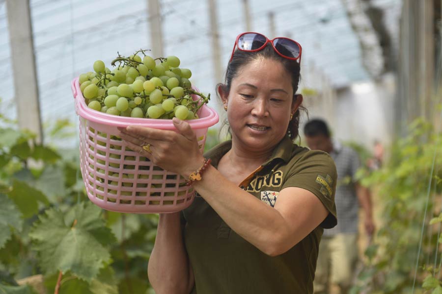 Family farms see huge jump in earnings