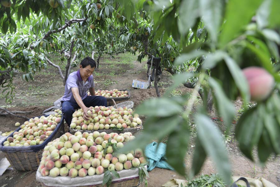 Family farms see huge jump in earnings