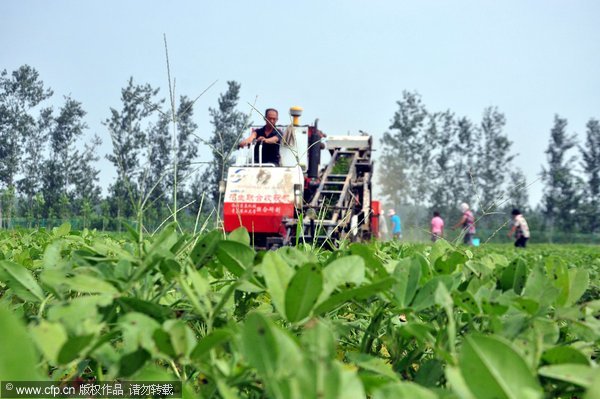 Chestnut, peanut and rice farmers of China