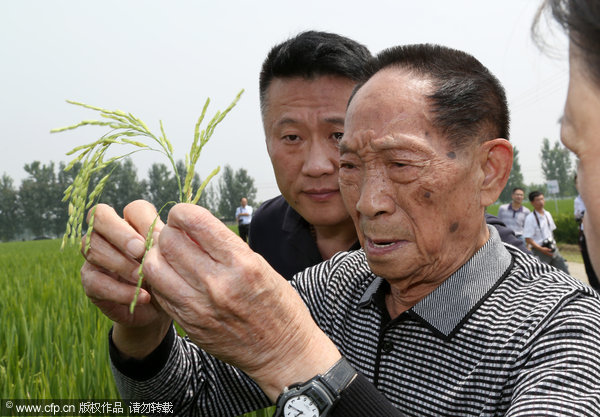 Chestnut, peanut and rice farmers of China