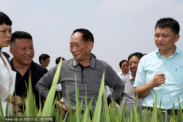 Chestnut, peanut and rice farmers of China