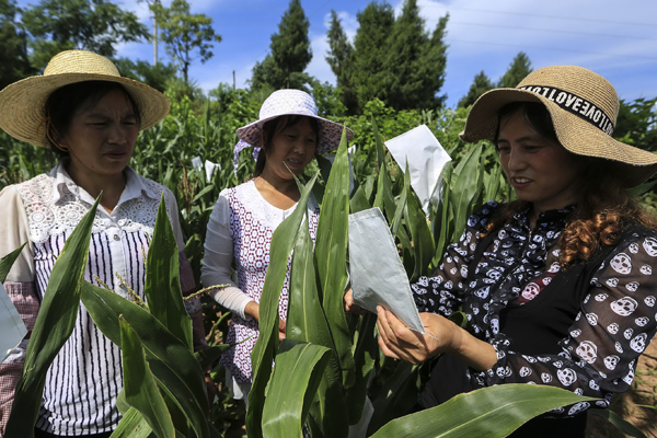 Jutubao links rural land buyers and sellers online, taking 30% of market share