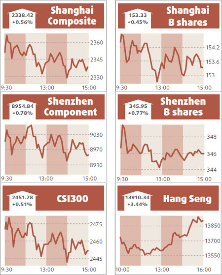 Market winning streak longest in 19 months