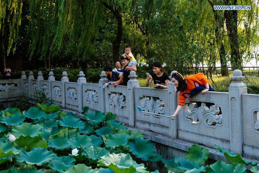 Scenery of West Lake in E China's Zhejiang