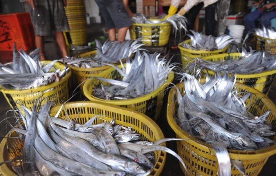 Fishing ban lifted over South China Sea