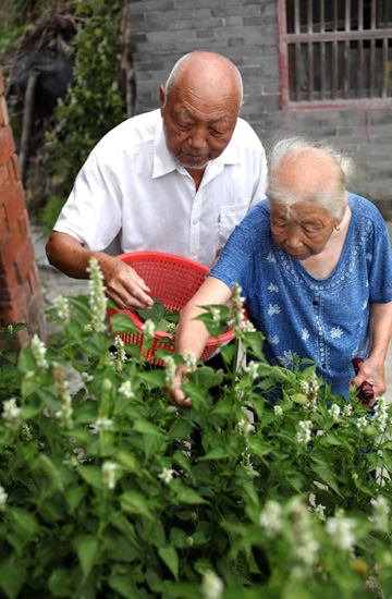 Store owner serves free tea in summer