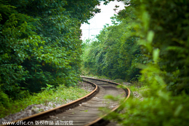 'Most naturally beautiful' railroad