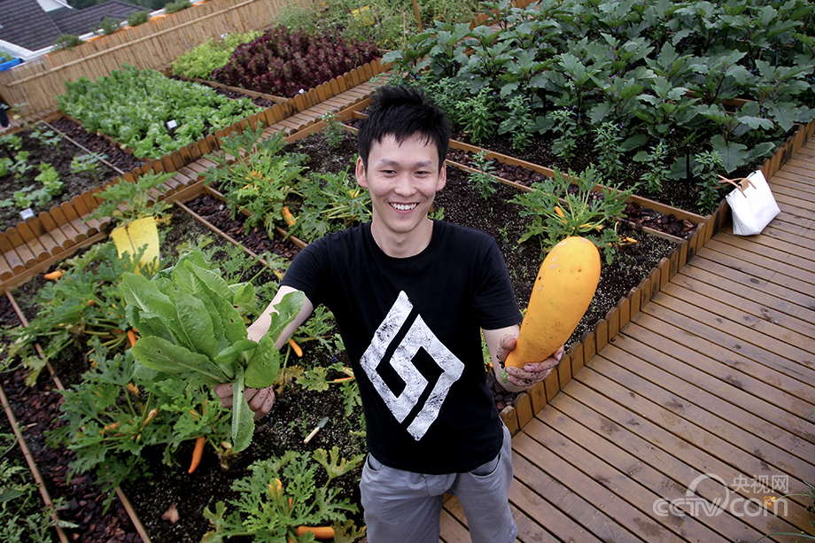 Urban farmers in China