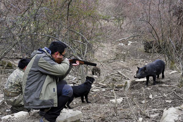 Hunting in China and abroad