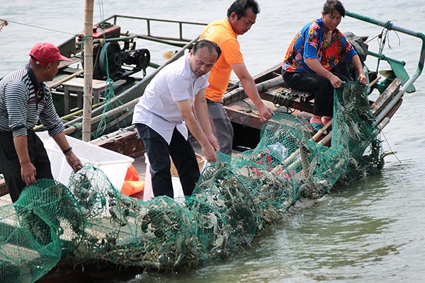 Shanghai crabs fill Taiwan farms and dining tables