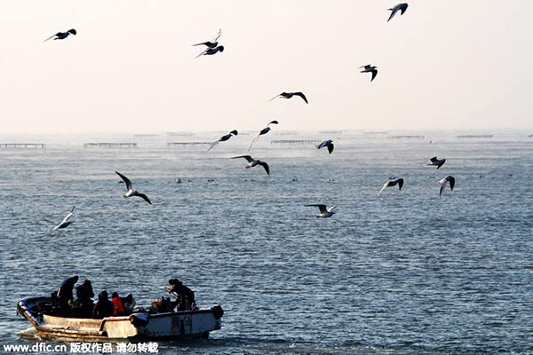 China's maritime output expected to near 6.5 trillion yuan