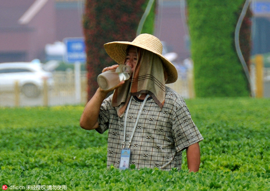 Working under the scorching sun