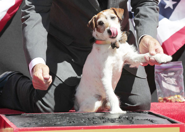 Dog Uggie's moment