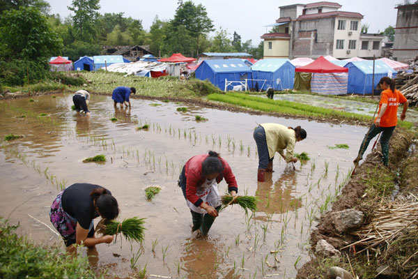 Signs of life returning to normal in quake zone