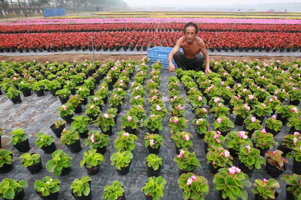 Flower power sees Tian'anmen blossom