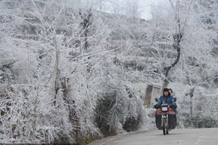 Special: Big freeze hits S China