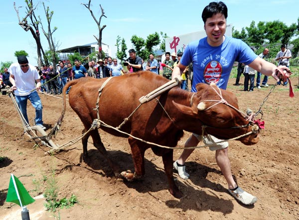 Foreigners learn Chinese farming skills