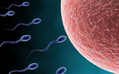 Banking on sperm