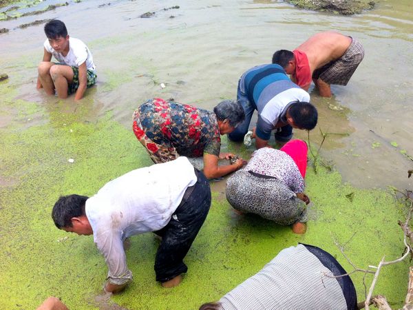 Villagers make a splash for ancient coins