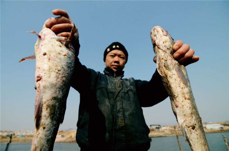 Fishing season opens in E China