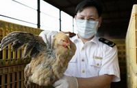 China reports another human H7N9 case