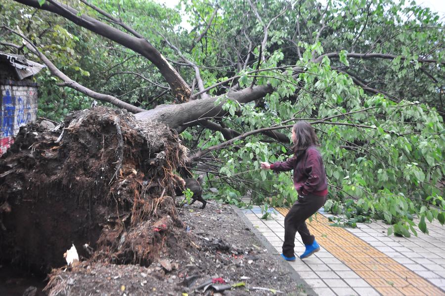 Red alert for rainstorm issued in S China's Liuzhou