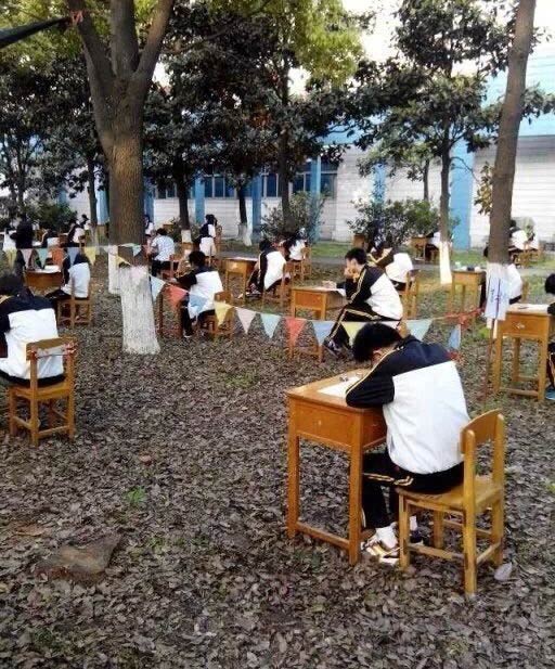 Exams held in woods to prevent cheating