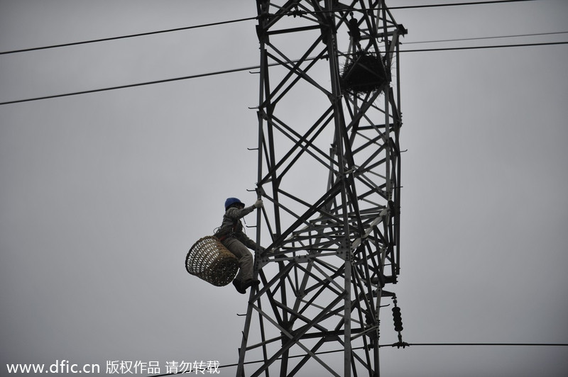 Steel nest removed from high voltage towers