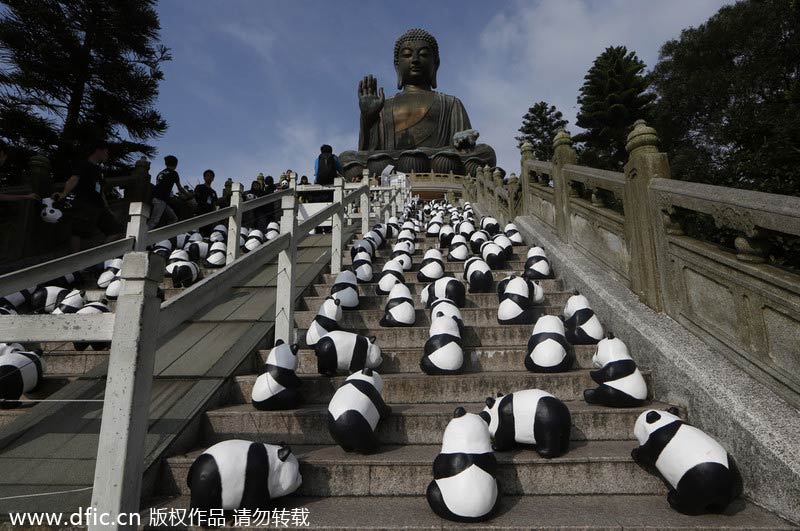 Pandas' 'pilgrimage' to Tian Tan Buddha