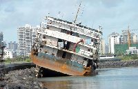 Typhoon-hit Hainan investigates moldy bread scandal