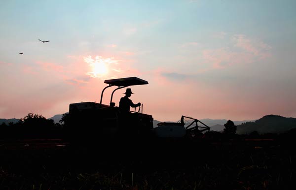 Heatwave sweeps across China