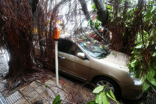 Typhoon Matmo wreaks havoc in Fujian, Taiwan