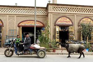 Herdsmen celebrate 60th birthday of Barkol