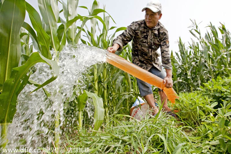 Severe drought hits Central China's Henan province