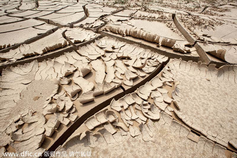 Severe drought hits Central China's Henan province