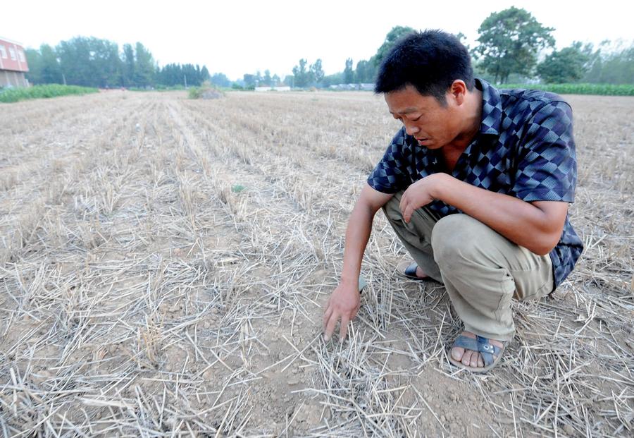 Drought persists in Central China's Henan province