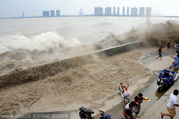 Tidal waves display brute force of nature