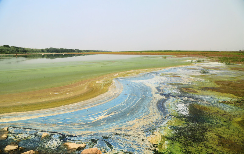 Garbage dump turns water into poison