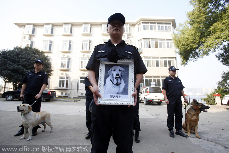 Hero police dog buried in Wuhan