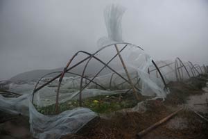 Typhoon Vongfong brings high waves to China's coastal provinces