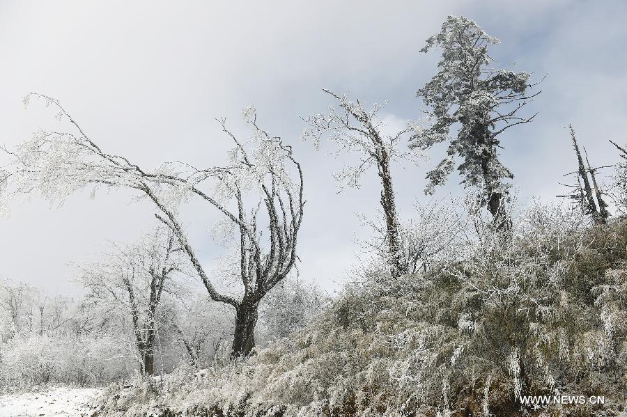 Sichuan witnesses first snow of 2015