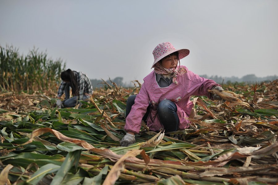 Left-behind wives expectantly await Spring Festival