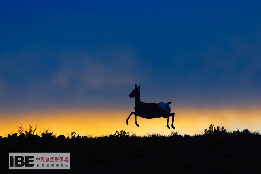 China's first nature image record released