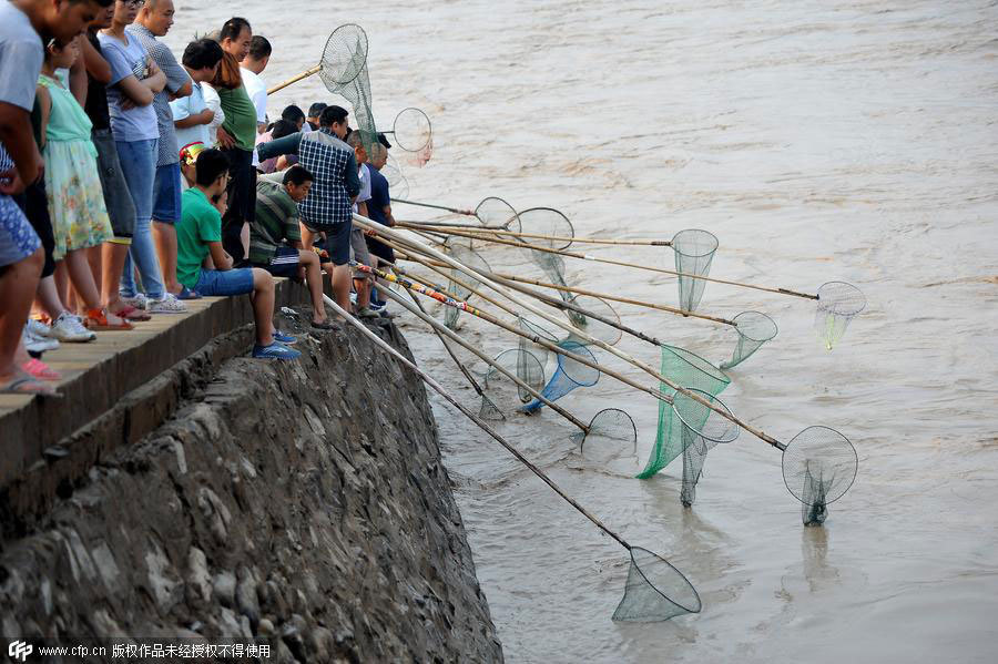 Bonus catch of the day for amateur fishermen