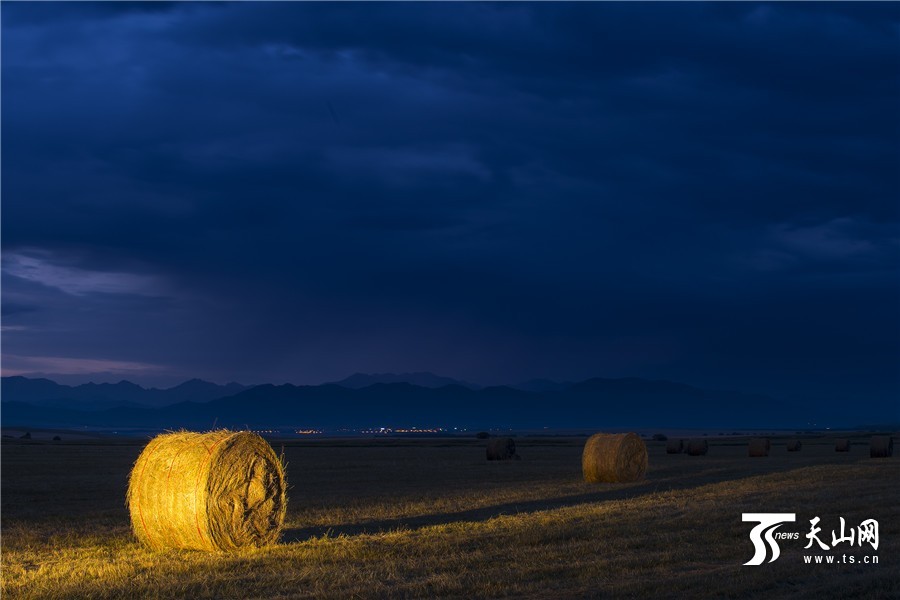 Rolls of grass: a beautiful landscape in Xinjiang