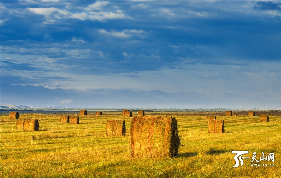 Rolls of grass: a beautiful landscape in Xinjiang