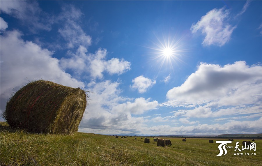 Rolls of grass: a beautiful landscape in Xinjiang